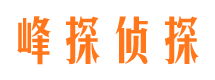 武功市私家侦探